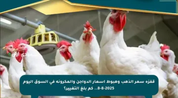 قفزة سعر الذهب وهبوط أسعار الدواجن والمكرونة في السوق اليوم 8-8-2025.. كم بلغ التغيير؟